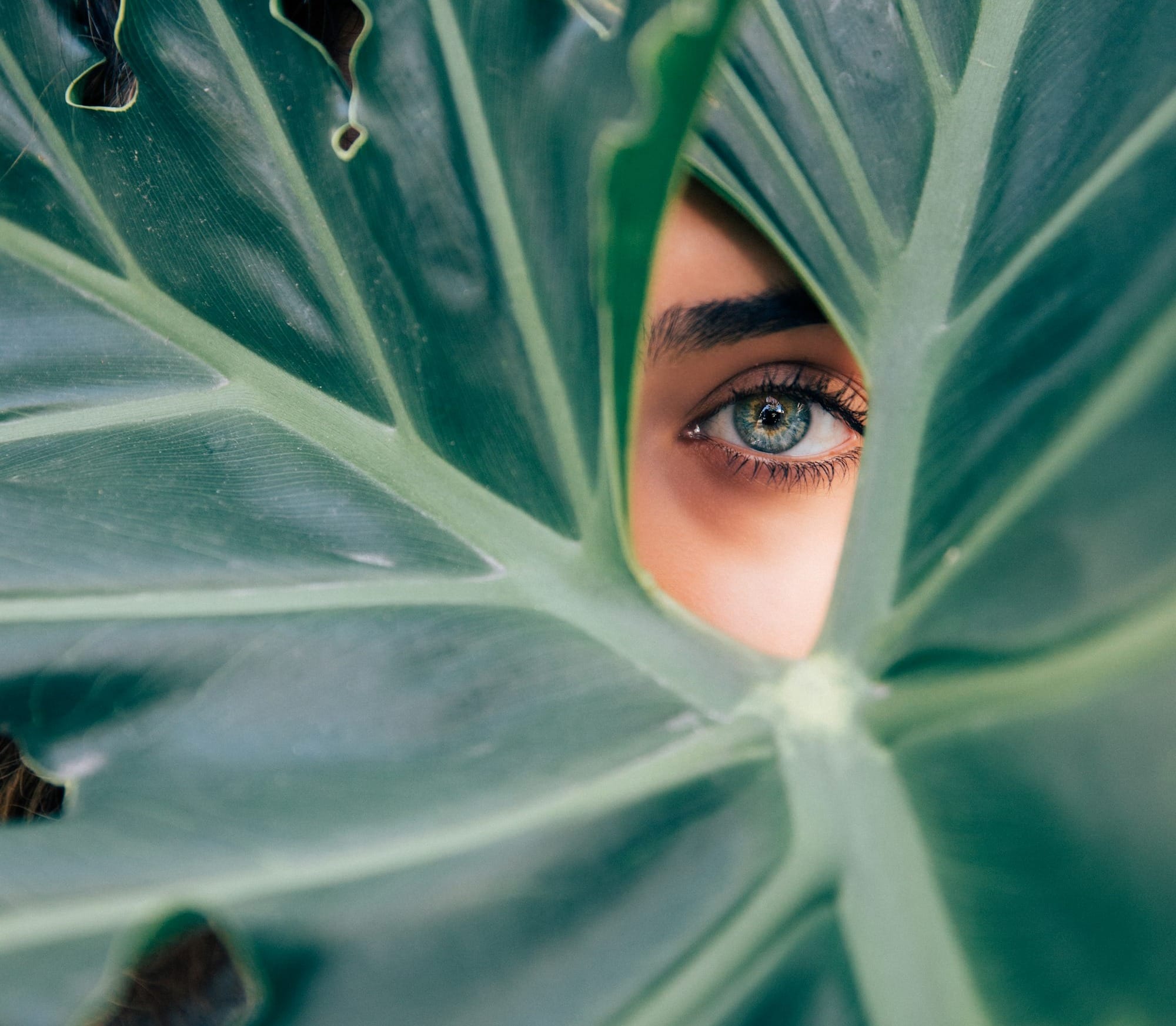 woman peeking over green leaf plant taken at daytime